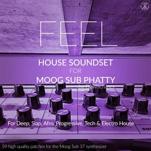 Kulshan Studios Moog Subsequent 25 patches - Feel House